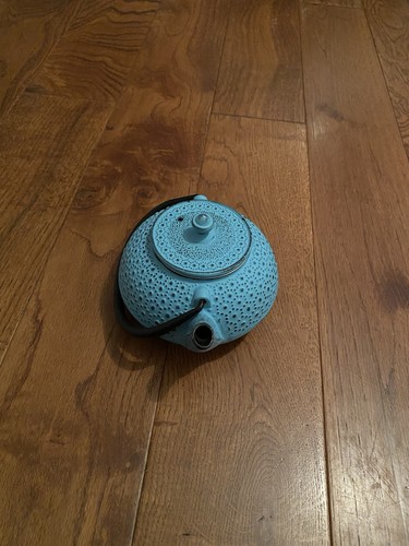 900ml japanese style cast - 900ml,