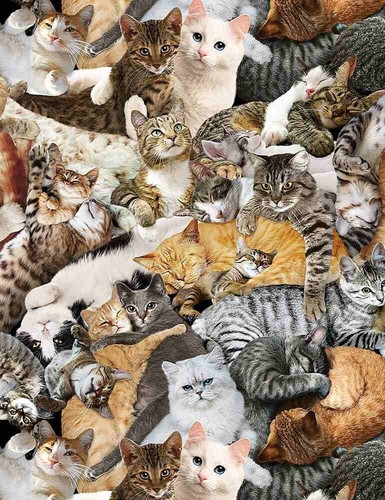 Fat quarter realistic cats - quarter, &