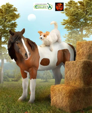 Mare with Terrier Horse and