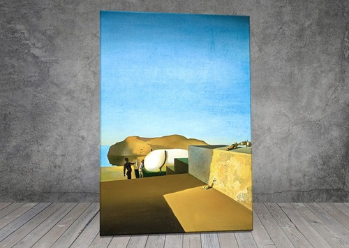 Salvador dali persistence - salvador, of
