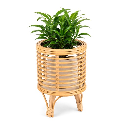 5cm wicker plant - 32.5×28.5cm,