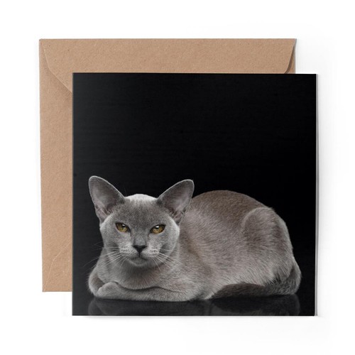 Blank greeting card - blank,