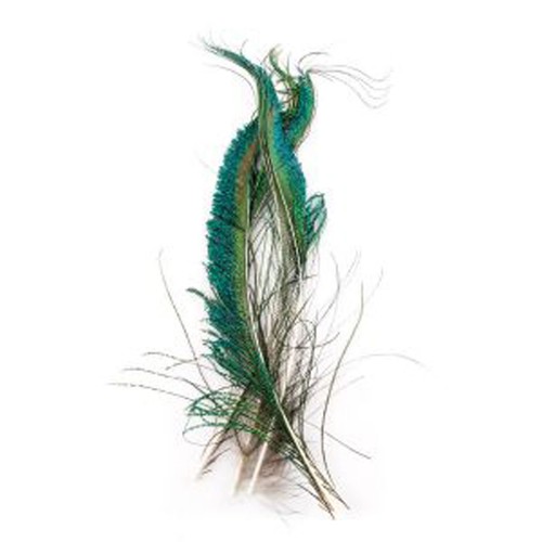 Wapsi peacock swords - wapsi,