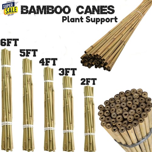 Bamboo canes heavy duty - bamboo,