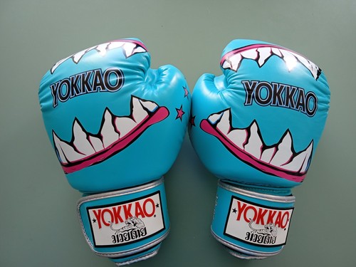 Yokkao muay thai - yokkao,