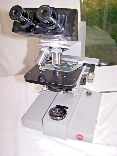 Leitz wetzlar lux binocular - leitz, sm