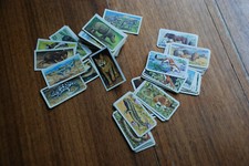 BROOKE BOND BRITISH WILD LIFE IN DANGER TEA PICTURE CARDS SET SCRAPBOOKING CRAFT