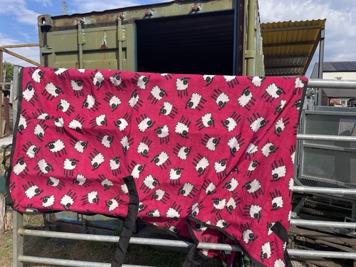 Horse masters sheep fleece - masters,