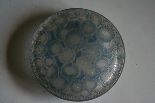 Rene lalique marguerites glass - rene,