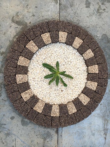 Duo colour granite - colour, plant
