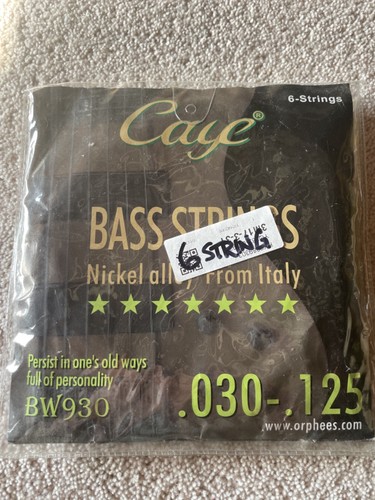 Bass 6string set made - bass,