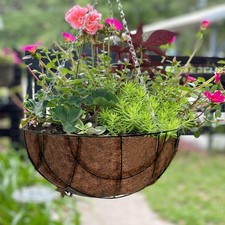 2 X 12" HANGING BASKET FLOWER