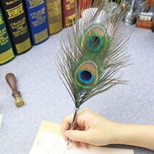 Writing Tools Peacock Feather