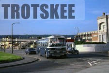 35mm Slide Edwards Joys Green