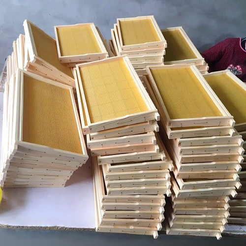 10pcs set assembled - 10pcs/set,