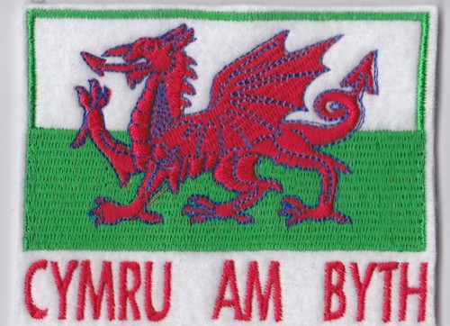 Proud welsh dragon - proud,