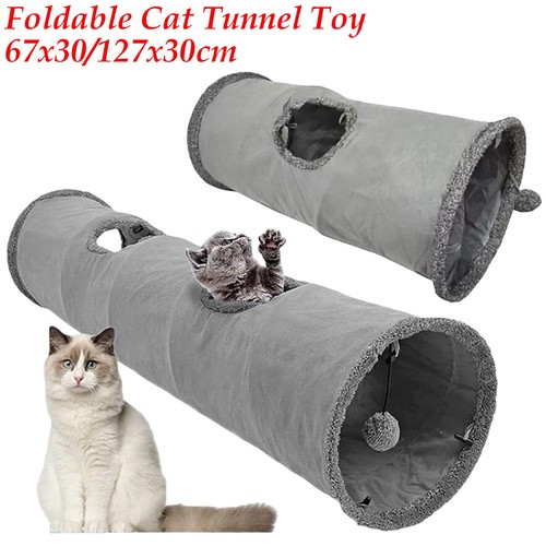 Interactive cat tunnel - interactive,