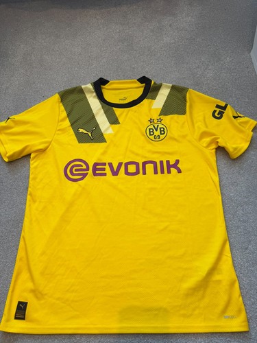Borussia dortmund 2022 - borussia, 2022/23