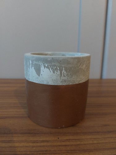 Concrete plant pot - plant,