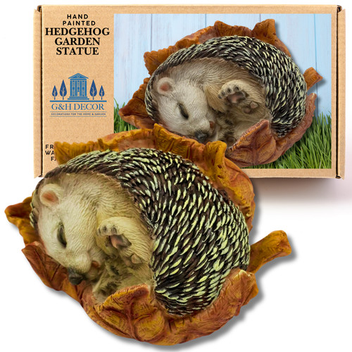 Sleeping baby hedgehog leaf - baby,