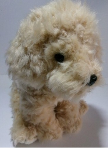 Cuddly toy poodle labradoodle - cuddly,