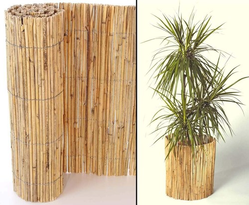 Extra thick bamboo - 5m,