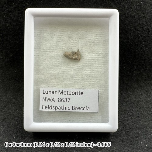 Lunar meteorite nwa 8687 - meteorite,