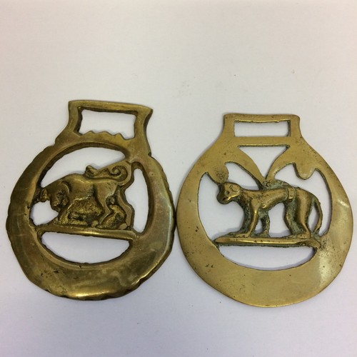 Monkey bull vintage horse - monkey,