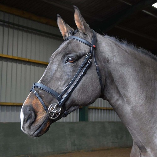 Whitaker ready ride snaffle - whitaker,