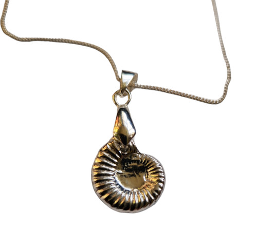 Solid silver ammonite pendant - solid,