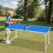 Foldable Ping Pong Table