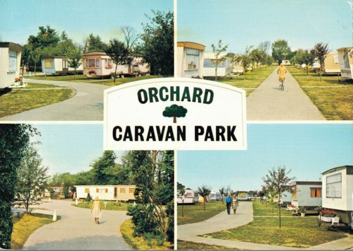 Orchard caravan park - park, :