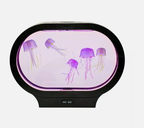 Night lamp colour - lamp,