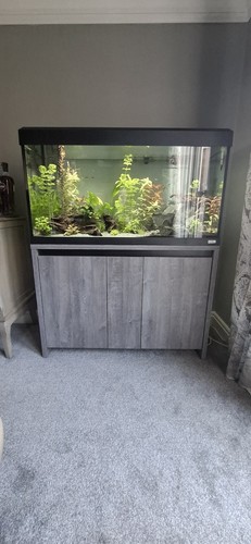 Fluval roma 200l fish - fluval,
