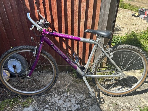 Carrera women mountain bike - carrera, women's