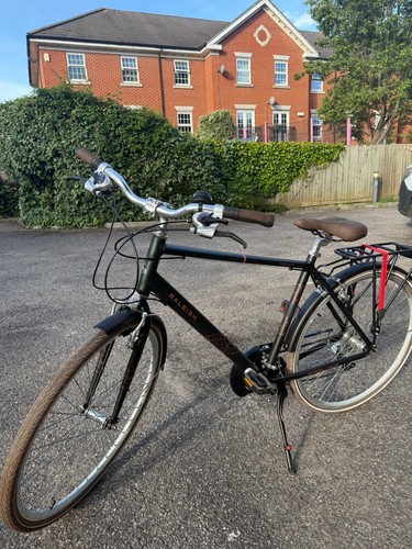 Raleigh pioneer grand - pioneer,
