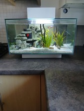 Aqua One Fish Tank For Sale