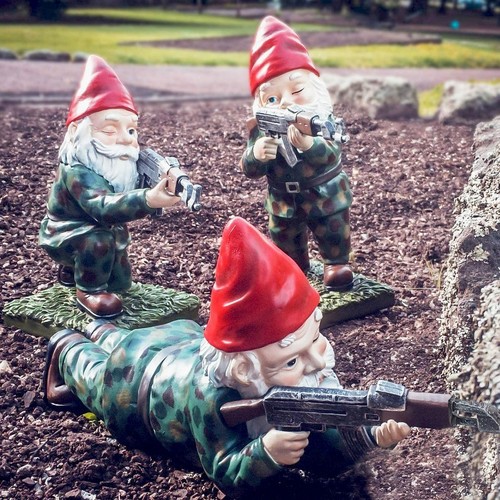 Military garden gnomes - garden, gnomes,