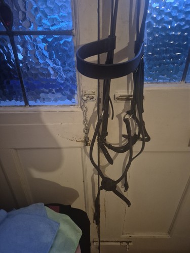 Full sized bridle with - full-sized,