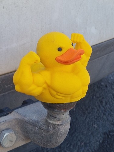 Muscle duck tow bar ball - ,