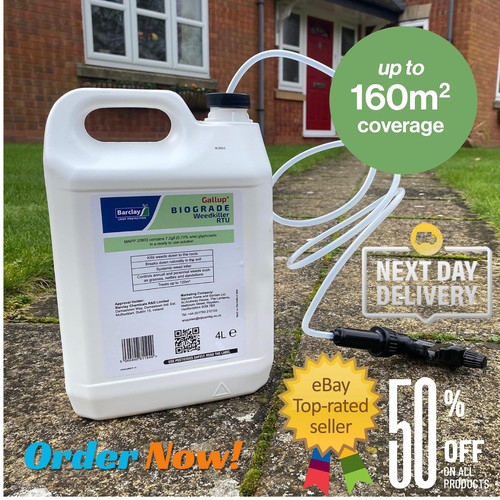 Glyphosate weed killer - weed,