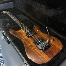 Washburn N4 Padauk Electric