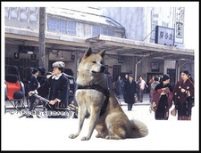 AKITA DOG PRINT POSTER DOG