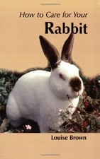 How to Care for Your Rabbit by