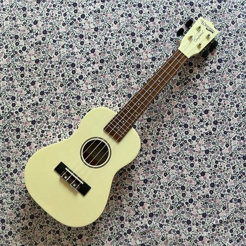 Tanglewood union series - union,