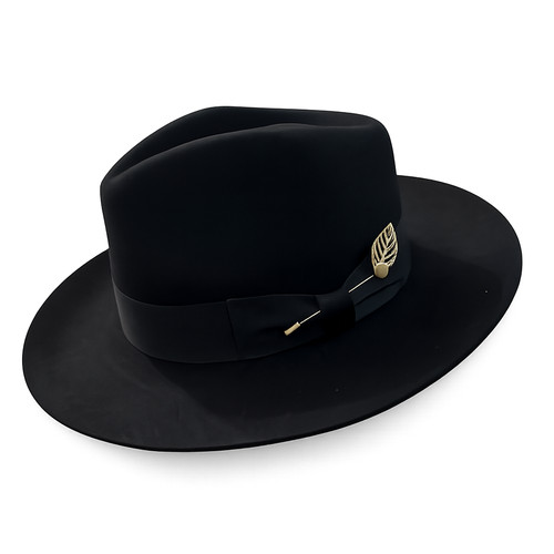 Wide stiff brim fedora - brim,