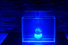 Reef Nano Tank Aquarium led