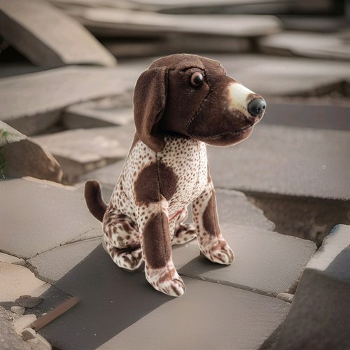 Gsp german short - gsp, short-haired
