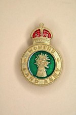 WW2 WOMENS LAND ARMY VETERANS MILITARY ARMED FORCES CAP LAPEL ENAMELLED BADGE