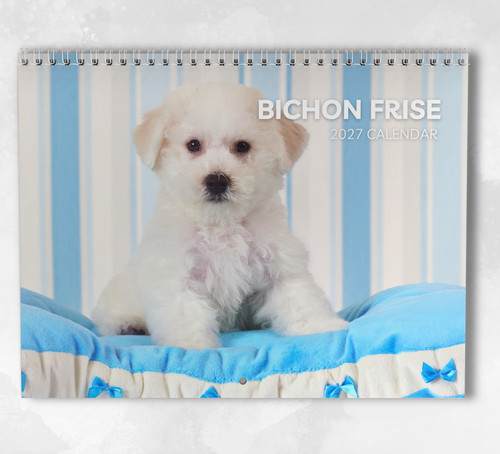 Bichon frise calendar - bichon,